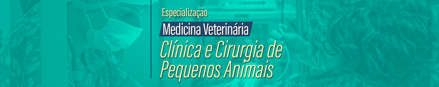 PUC Minas Poços de Caldas oferta especialização em Medicina Veterinária com bolsa remunerada 
